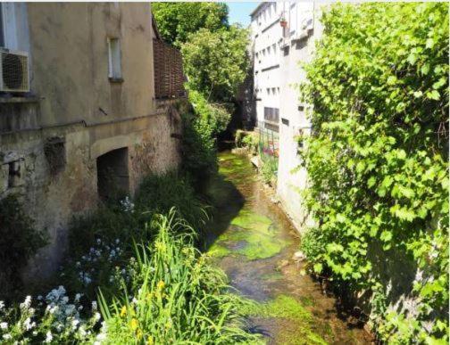 Le Gite Entre Val Et Rose Provins Eksteriør bilde